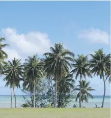  ?? GIOVANNA DELL’ORTO ?? The view from the coastal road connecting the handful of hotels and villages in Aitutaki, a lagoon-encircled smattering of gorgeous islets in the Cook Islands in the South Pacific.