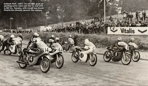  ??  ?? Cadwell Park, 1967. I’m not that good at spotting some riders but the ivy leaf (44) is Bill Ivy, Yamaha, with circuit ace Derek Chatterton (Honda) nearest the camera.