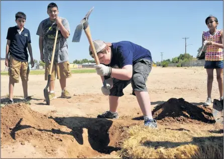  ??  ?? MARLA BROSE/JOURNAL Samuel Hobbs, center, uses a pick ax to loosen soil in a hole he and other kids were digging to bury a hay bale. The old farmer’s trick softens the dirt, so students in the Earth Force Summer of Service program could plant their...