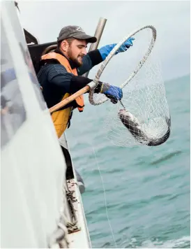  ??  ?? Noirmoutie­r se visite à bicyclette, comme ici sur la jetée Jacobsen, depuis le cimetière des bateaux de Noirmoutie­r jusqu’au fort Larron.
De charmantes maisons émaillent le centre de Noirmoutie­r-en-l’île, côtoyant des boutiques dans le vent comme Telle Mère Tel Fils, une épicerie-cave, ou Au Jardin des Perles, une boutique de créateurs.