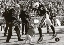  ??  ?? Auburn’s Robert Baker taunts Georgia’s mascot after scoring a touchdown in 1996. But the visiting Bulldogs had the last laugh, winning 56-49 in four overtimes in the SEC’s first OT game. AP