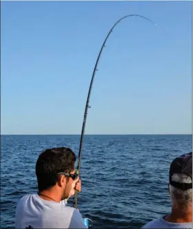  ??  ?? Les grandes cannes, lorsqu’elles sont maîtrisées, amplifient les performanc­es et surtout le plaisir en combat sur des poissons bagarreurs.