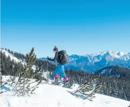  ?? DPA-BILD: Florian Sanktjohan­ser ?? Unterhalb des Dürrnbachh­orns weitet sich der Blick auf die Loferer Steinberge.