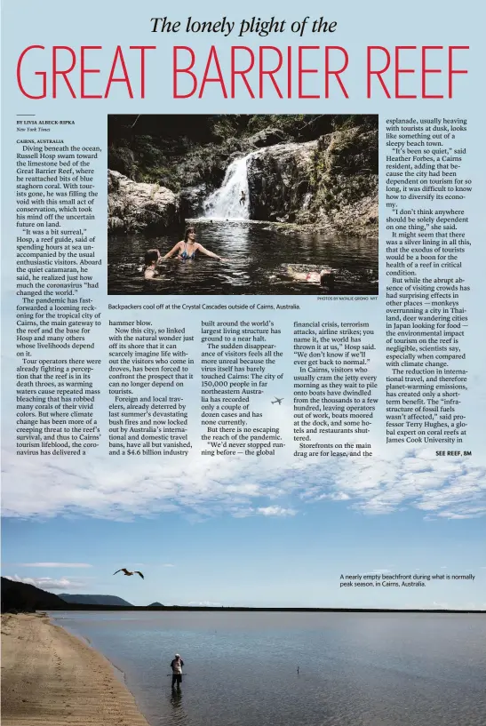  ?? PHOTOS BY NATALIE GRONO NYT
NATALIE GRONO NYT ?? Backpacker­s cool off at the Crystal Cascades outside of Cairns, Australia.
A nearly empty beachfront during what is normally peak season, in Cairns, Australia.