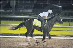  ?? DARRON CUMMINGS — THE ASSOCIATED PRESS ?? Kentucky Derby entry Tiz the Law runs during a workout at Churchill Downs, Friday, Sept. 4, 2020, in Louisville, Ky. The Kentucky Derby is scheduled for Saturday, Sept. 5th.