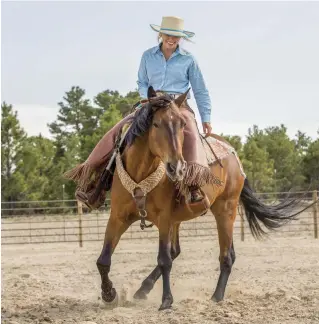  ??  ?? Your horse can be trained to understand that the pace at which you wave your leg determines the tightness of his turn. The faster your wave your leg, the smaller the circle, all the way down to a spin.