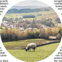  ?? Photo / Laetitia Vancon, New York Times ?? Countrysid­e near Alston, Cumbria.