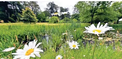  ??  ?? Das Arboretum Grenzenlos in Hamminkeln ist aus einem Barockpark aus dem 18. Jahrhunder­t hervorgega­ngen.