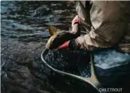  ?? CHILETROUT ?? Nicolas Sutil pesca con mosca en el río Manihuales; y el autor mostrando una captura.