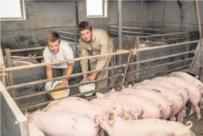  ?? FOTOS: FUCHS ?? Von wegen Bauernster­ben: Bei den Trummers macht sich die nächste Generation bereit. Beschäftig­ungsmateri­al für Schweine, was soll das sein? Womit werden die Schweine gefüttert? Ist Genfutter für Schweine erlaubt?