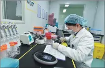  ?? HUANG ZONGZHI / XINHUA ?? A technician extracts DNA in the lab of a gene testing company in Hangzhou, Zhejiang province.