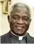  ??  ?? Cardinale Peter Turkson, 68 anni, primo cardinale ad essere nato in Ghana, presiede il dicastero per il Servizio allo sviluppo umano integrale del Vaticano