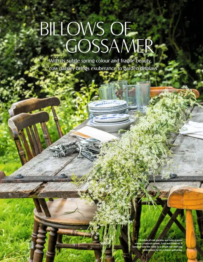  ??  ?? Armfuls of cow parsley and long grasses create a natural runner. Lush and fulsome, it tumbles over the table in a simple but stunning centrepiec­e for an outdoor gathering.