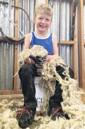  ?? PHOTO: SALLY RAE ?? Super Sid the shearing kid . . . Sid Strachan (6) takes a break from ‘‘shearing’’on his family’s farm in North Otago yesterday.