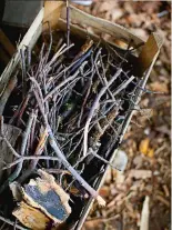  ?? Photograph­y: VICTORIA HARLEY ?? Using garden veg and his own wood to fuel the oven, Dan’s business is homegrown from start to finish