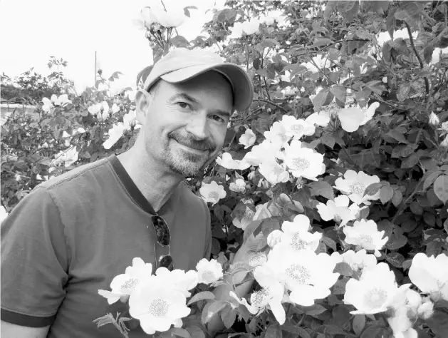  ?? Photos: postmedia news ?? Brad Jalbert, owner of Select Roses in Langley and one of B.C.’s top rose experts, says many favourite roses of the past are too disease-prone to be sold today.