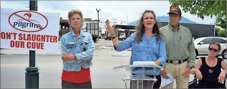  ??  ?? Ruth Almeter, at lecturn, along with members of the Mountain Cove Preservati­on Society and others opposed to bringing a slaughter house to rural Walker County, protested outside a Pilgrim’s Pride plant on South Broad Street in Chattanoog­a. (photo/Rick...