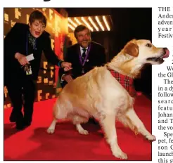  ??  ?? VisitScotl­and’s ‘ambassadog’ George was at the opening gala