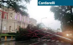  ??  ?? Viali chiusiUn albero si è abbattuto davanti all’ingresso principale. Per precauzion­e la direzione sanitaria ha chiuso i viali interni del parco