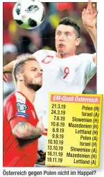  ??  ?? Österreich gegen Polen nicht im Happel?