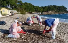  ?? (Photo M. D) ?? Une dizaine de membres de la réserve communale de sécurité civile était à pied d’oeuvre, hier, sur les plages de La Verne et de La Vernette pour ramasser les résidus d’hydrocarbu­re.