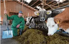  ?? Foto: Marcus Merk ?? „Ich muss auch die Löcher stopfen, die die letzten anderthalb Jahre gerissen haben.“Landwirt Jürgen Speinle mit seinen Kühen.