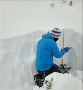  ?? ?? Avalanche Canada
An avalanche tech checks for weak layers.