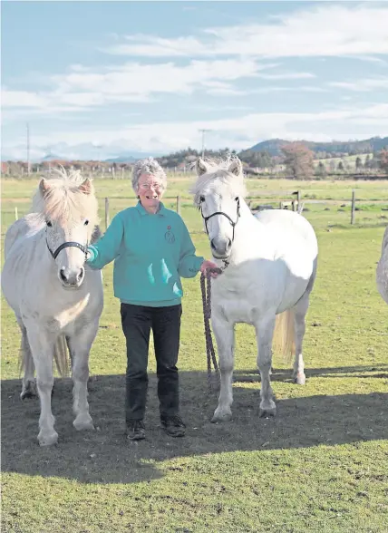  ?? Pictures: Phil Hannah ?? Above: Mary and Donald McGillivra­y with their herd of Eriskay ponies.