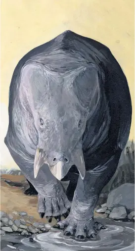  ??  ?? Wie ein viel zu groß geratenes Nashorn – so in etwa könnte Lisowicia bojani ausgesehen haben.