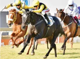  ?? Picture: JC Photograph­ics ?? BRILLIANT. Summer Pudding is expected to retain her unbeaten record when she lines up in tomorrow’s Grade 1 WSB Gauteng Summer Cup over 2000m at Turffontei­n.