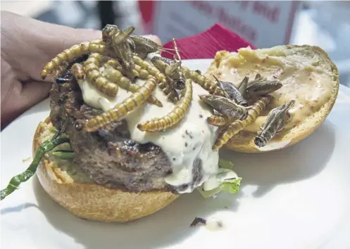  ?? ?? It’s claimed insects could be the food of the future, so anyone for a grasshoppe­r burger with extra mealworms?