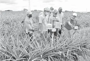  ??  ?? INGIN TAHU: Dr Sahruddin (dua kiri) mendengar penerangan daripada Afif (kanan) mengenai teknologi baharu Internet of Things (IoT) ketika melawat Ladang Nanas Ber One Agro di Changlun Changlun, Kedah. — Gambar Bernama