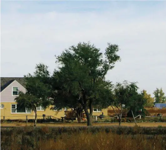  ??  ?? Qui sopra la casa della famiglia Clutter a Holcomb, in Kansas. La notte del 15 novembre del 1959 due balordi entrarono nell’abitazione per fare una rapina: Herb Clutter, 48 anni, la moglie Bonnie, 45, i figli Nancy, 16, e Kenyon, 15, furono uccisi a colpi di fucile e coltello