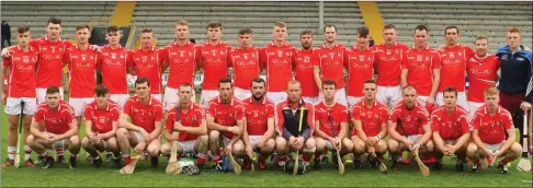  ??  ?? St. Mogue’s (Fethard), who went one better than 2016 when capturing the Top Oil Intermedia­te ‘A’ hurling championsh­ip crown.