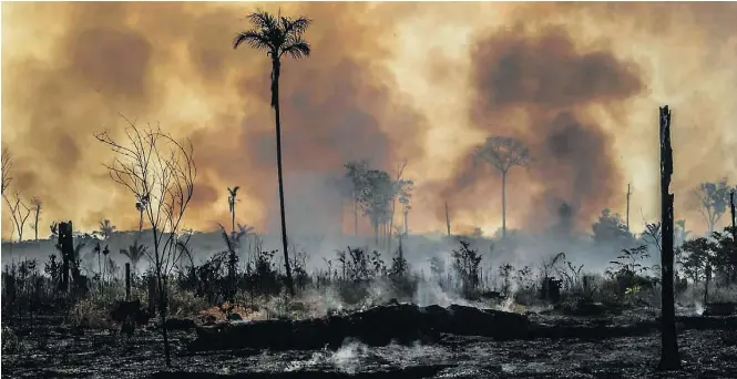  ?? GABRIELA BILO/ESTADÃO–27/8/2019 ?? No sul do Amazonas. Queimada provocada, em Santo Antonio do Matupi: segundo o estudo, bioma vai perdendo a capacidade de atuar ‘como um filtro’ contra os gases do efeito estufa.