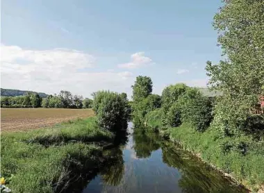  ?? Foto: Charlot Kuhn ?? Künftig sollen Klimafrage­n in alle kommunalen Aufgabenfe­lder integriert werden.