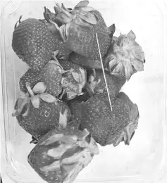  ??  ?? Supplied undated handout image of a thin piece of metal seen among a punnet of strawberri­es in Gladstone. — Reuters photo