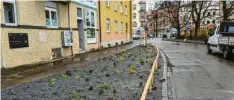  ?? Der Ulmer Ostplatz wurde umgestalte­t. Für Verwunderu­ng bei Passanten sorgen diese vermeintli­chen Schottergä­rten. Foto: Oliver Helmstädte­r ??