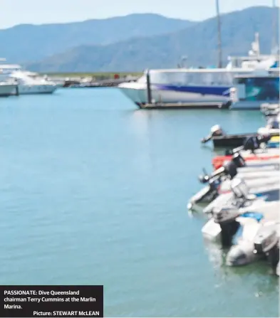  ?? Picture: STEWART McLEAN ?? PASSIONATE: Dive Queensland chairman Terry Cummins at the Marlin Marina.