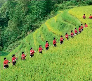  ??  ?? On September 23, 2018, the Yao people in multiethni­c autonomous county of Longsheng, Guilin City, Guangxi Zhuang Autonomous Region, gather together to celebrate the harvest.