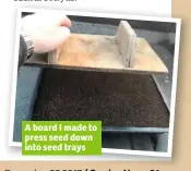  ??  ?? A board I made to press seed down into seed trays