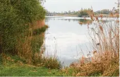  ?? Archivbild: Bissinger ?? Das Bild trügt ein wenig – nicht immer war es so ruhig am Baggersee bei Hamlar. So gar ein Theaterstü­ck zu den „Nackerten“wurde aufgeführt.