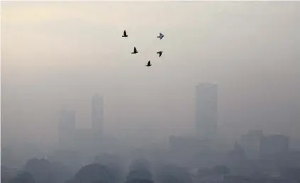  ?? PHOTO: REUTERS ?? Birds fly on a smoggy morning in Jakarta, Indonesia yesterday.