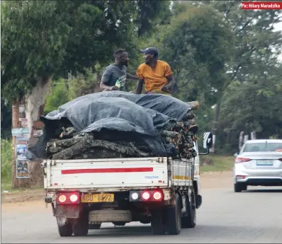  ?? Pic: Hilary Maradzika ?? Two men chat while perched on top of firewood loaded on a truck travelling along the Harare-Bulawayo Highway over the weekend