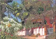  ?? GETTY IMAGES ?? Even when there is no lockdown, the author says she meets very few people n during her morning walks in rural Goa.