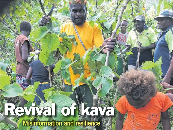  ?? Picture: SUPPLIED ?? Kava is believed to have originated in the North of Vanuatu, the authors write.