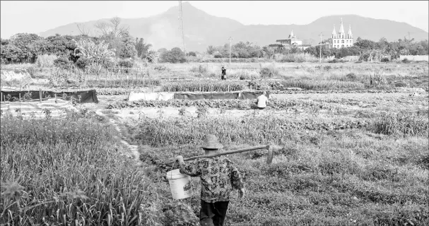  ??  ?? Villagers farm on their small piece of land in Guangdong province. Luotianba Catholic Church stands in the background.