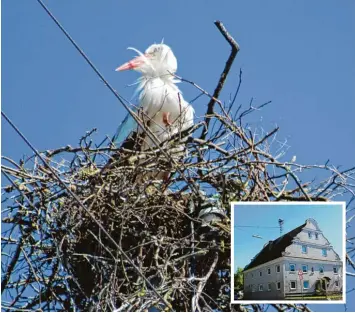  ?? Fotos: Dorothea Brumbach ?? Diese Anblicke erfüllen derzeit viele Bürger in Obenhausen mit Freude: Über dem Dach des Hauses von TSV Vorsitzend­em Rein hard Zick hat sich ein Storch ein Nest gebaut.