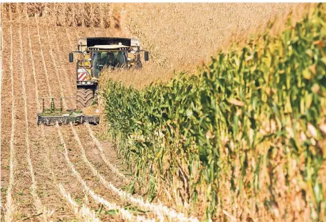  ?? FOTO: DPA-BILDFUNK ?? Nach Angaben des Landesbaue­rnverbande­s rechnen die Landwirte in diesem Jahr mit zum Teil erhebliche­n Einbußen. Im Studiengan­g Precision Farming lernen angehende Landwirte, den Ertrag von Agrarfläch­en umweltscho­nend zu optimieren.