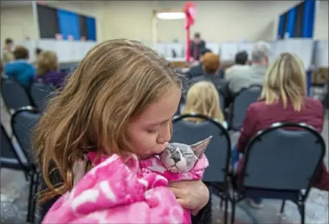  ?? Steph Chambers/Post-Gazette ?? Sofia Mull of Avella kisses her sphinx Jasmine in between rounds of judging during the Steel City Kitties cat show on Saturday at the Monroevill­e Convention Center.